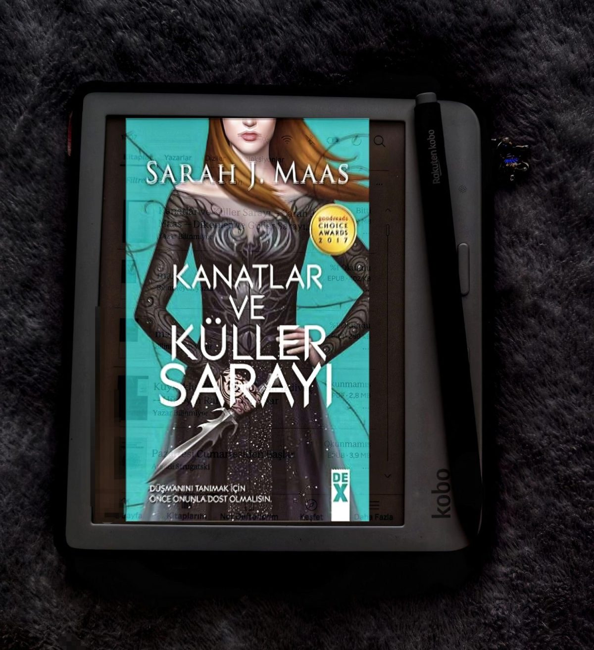 KANATLAR VE KÜLLER SARAYI (DİKENLER VE GÜLLER SARAYI&nbsp;#3)