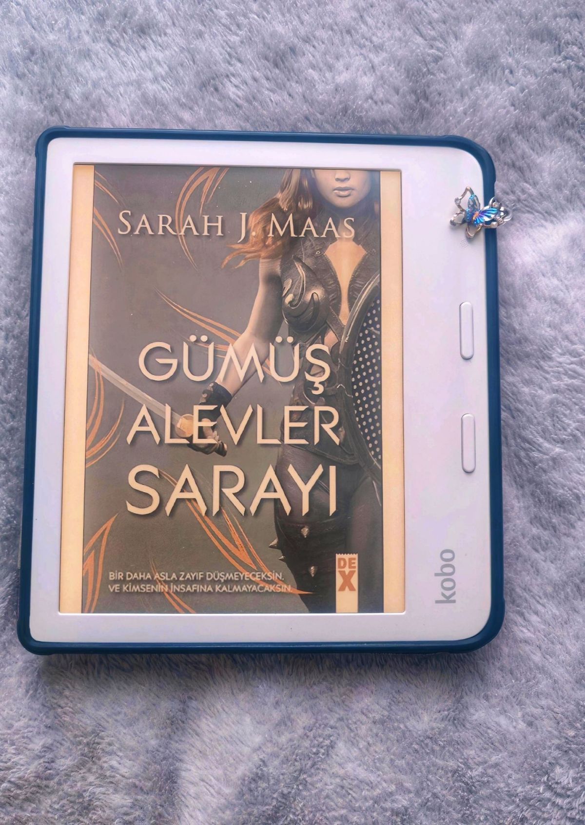 GÜMÜŞ ALEVLER SARAYI (DİKENLER VE GÜLLER SARAYI&nbsp;#4)